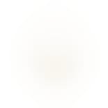 Jennifer Earring Pearl fra Nuni Copenhagen i Forgyldt-Sølv Sterling 925|Blank