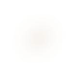 Kaia Earsticks fra Sistie i Forgylt-Sølv Sterling 925|Blank