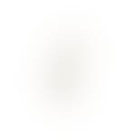 Los Angeles White Earstick - Right fra Nuni Copenhagen i Forgylt-Sølv Sterling 925