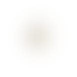Shenzen White Earcuff fra Nuni Copenhagen i Forgylt-Sølv Sterling 925|Zircons|Blank