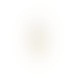 Doha White Earstick from Nuni Copenhagen in Goldplated-Silver Sterling 925||Blank