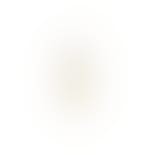 Doha White Earstick fra Nuni Copenhagen i Forgylt-Sølv Sterling 925|Zircons|Blank
