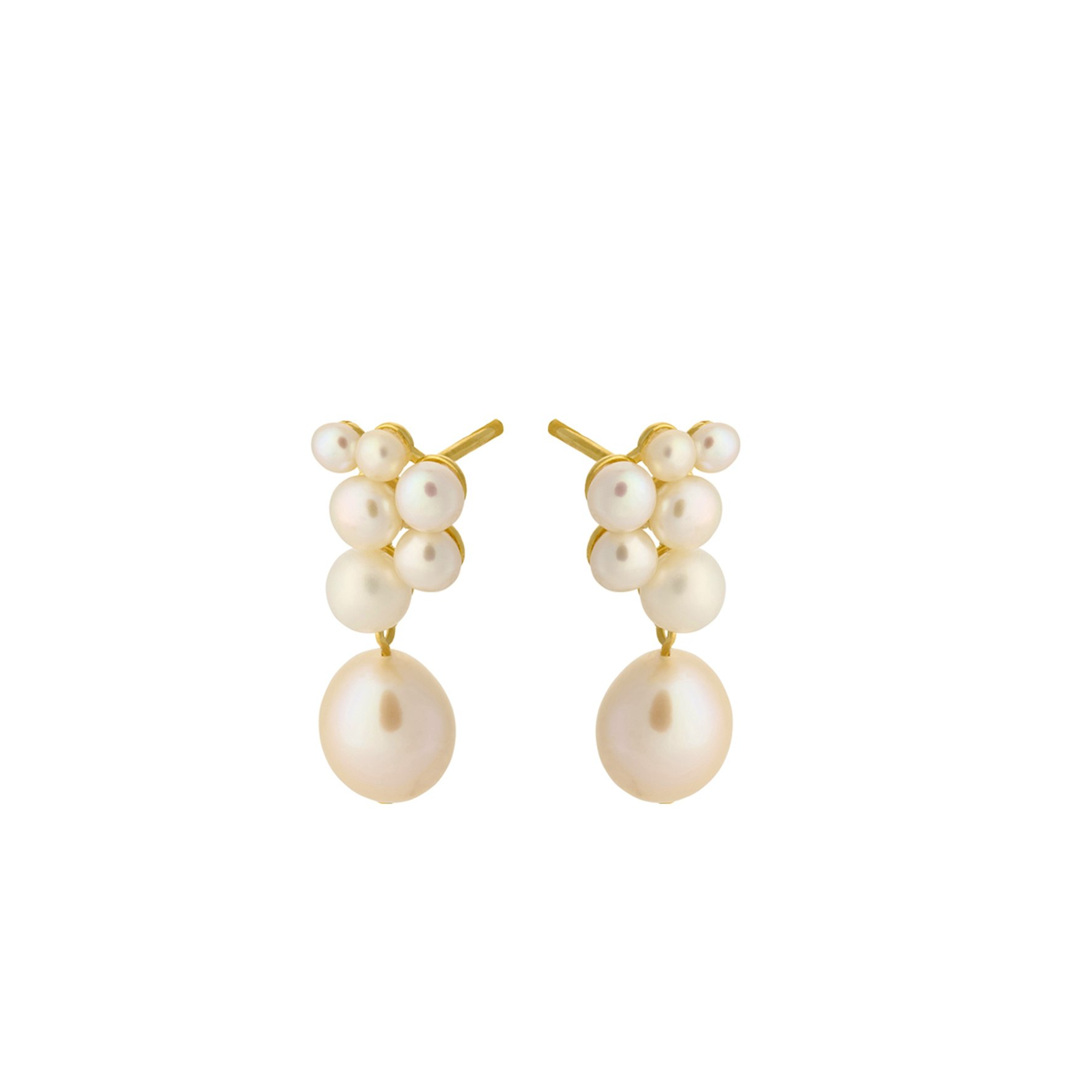 Ocean Treasure Earsticks