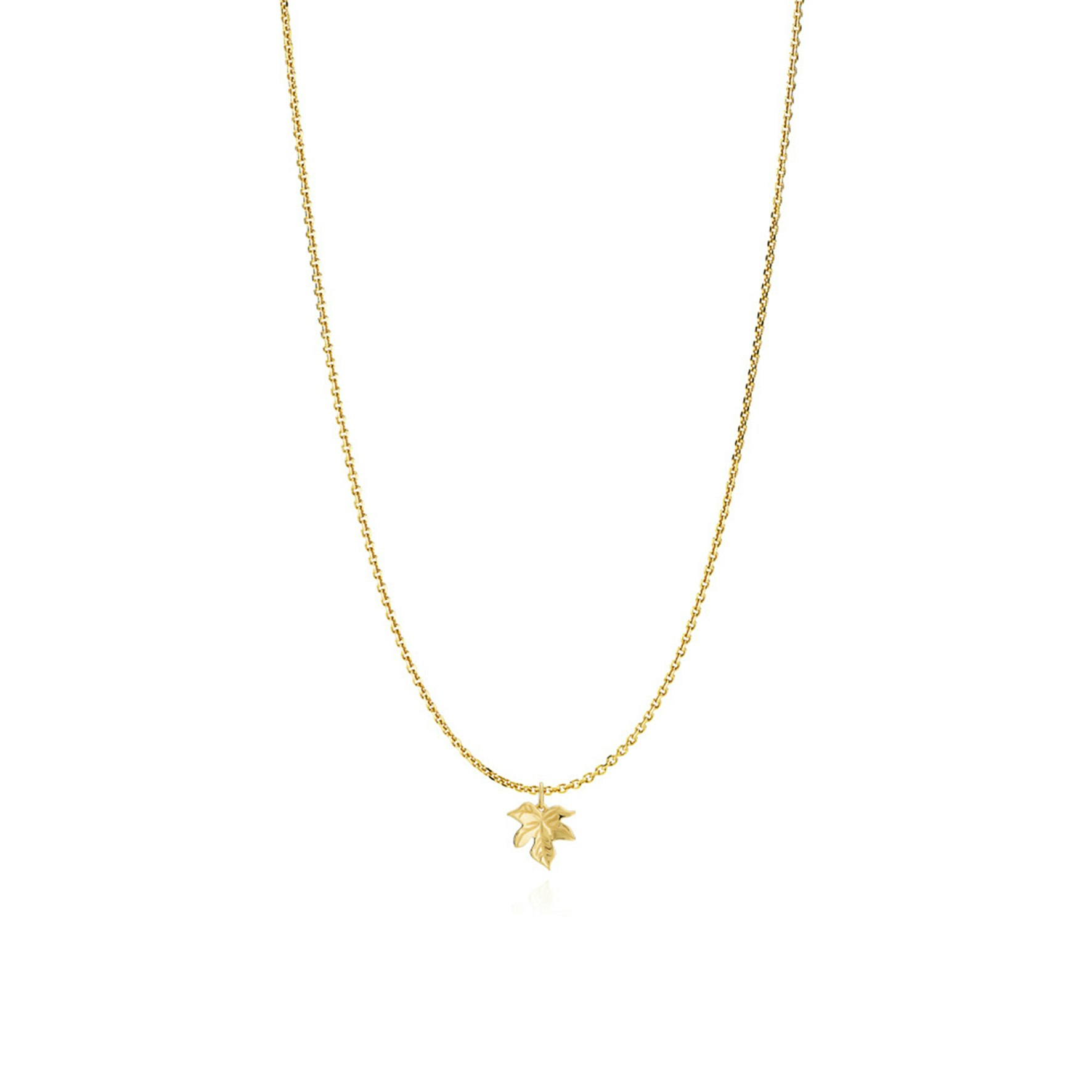 Caley Necklace With Leaf from Izabel Camille in Goldplated-Silver Sterling 925