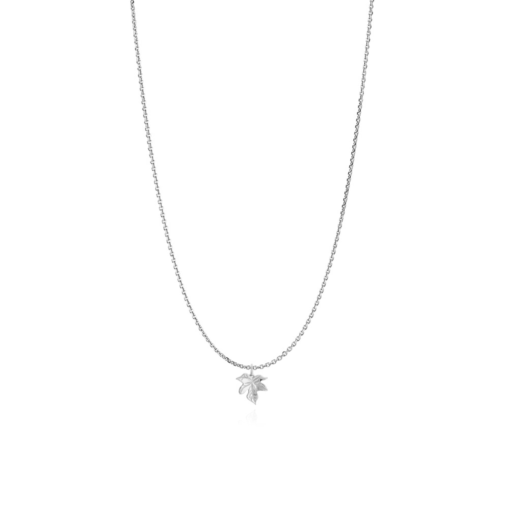 Caley Necklace With Leaf from Izabel Camille in Silver Sterling 925