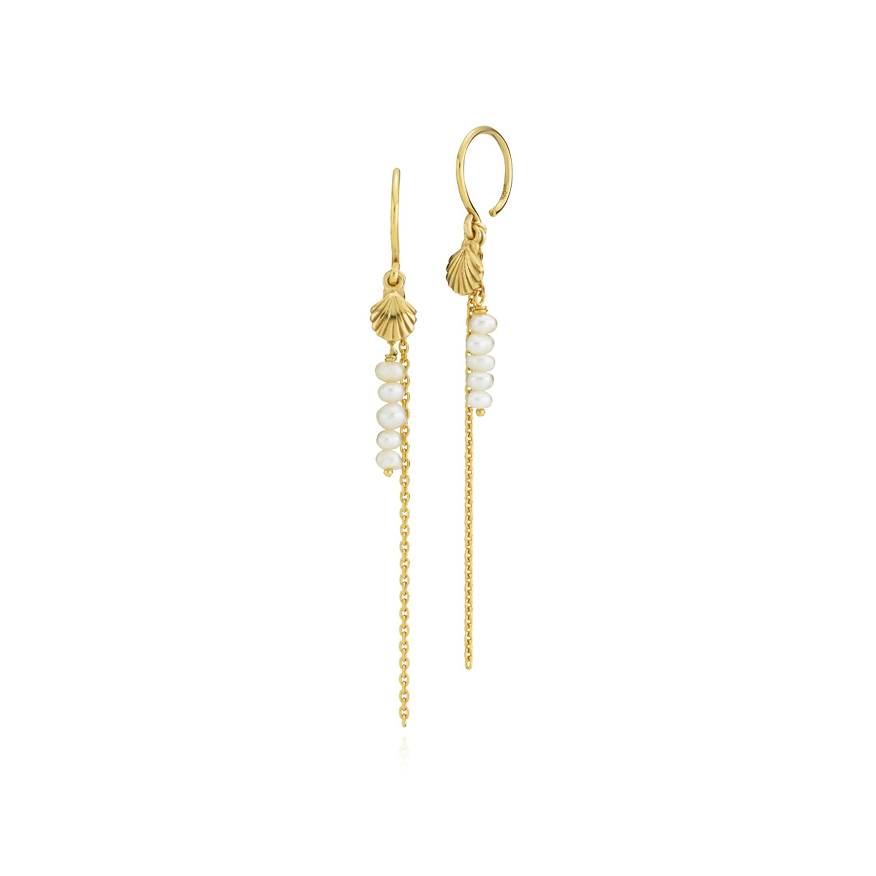 Beach Seashell Earrings