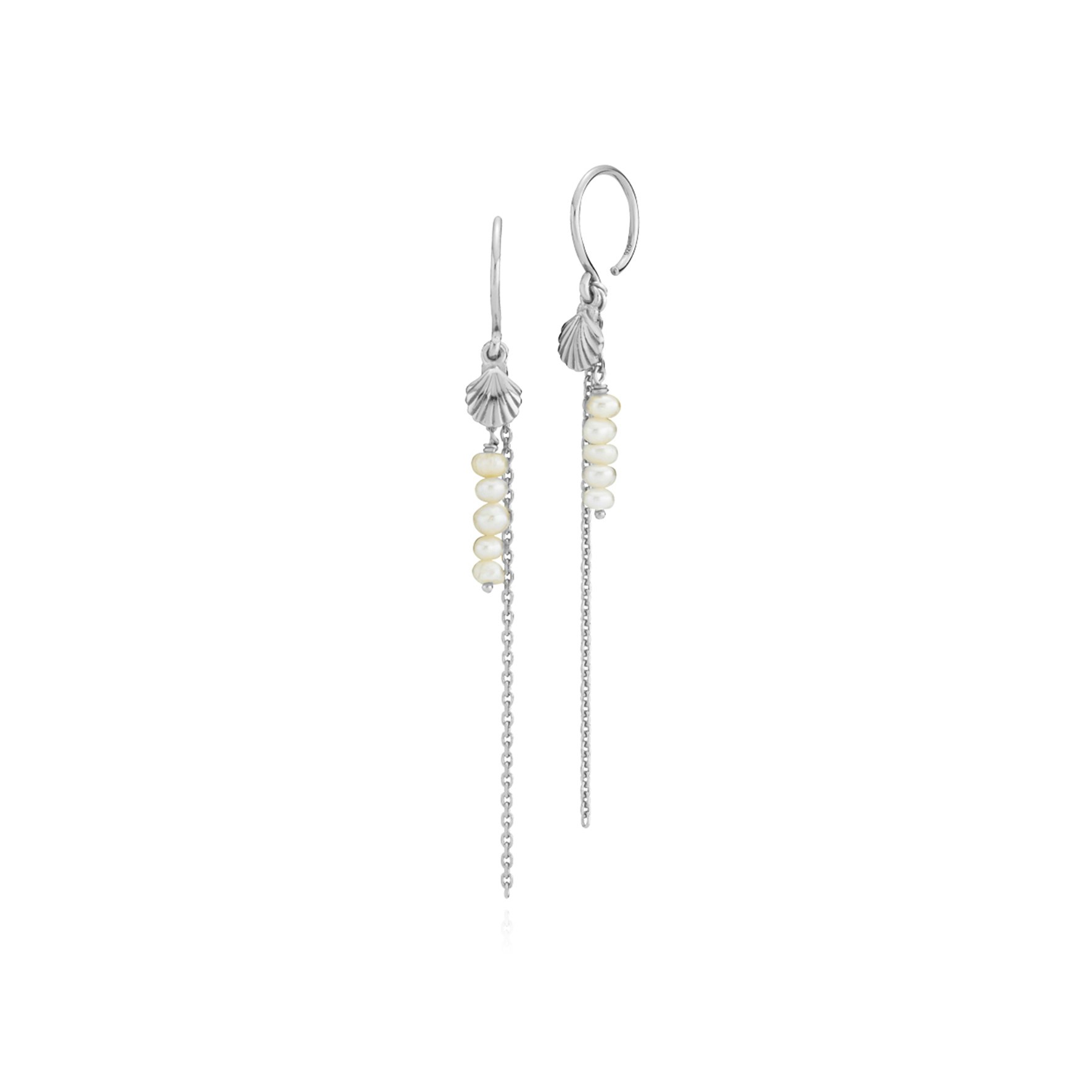 Beach Seashell Earrings