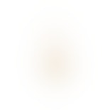 Amanda Yellow Earring fra Nuni Copenhagen i Forgyldt-Sølv Sterling 925