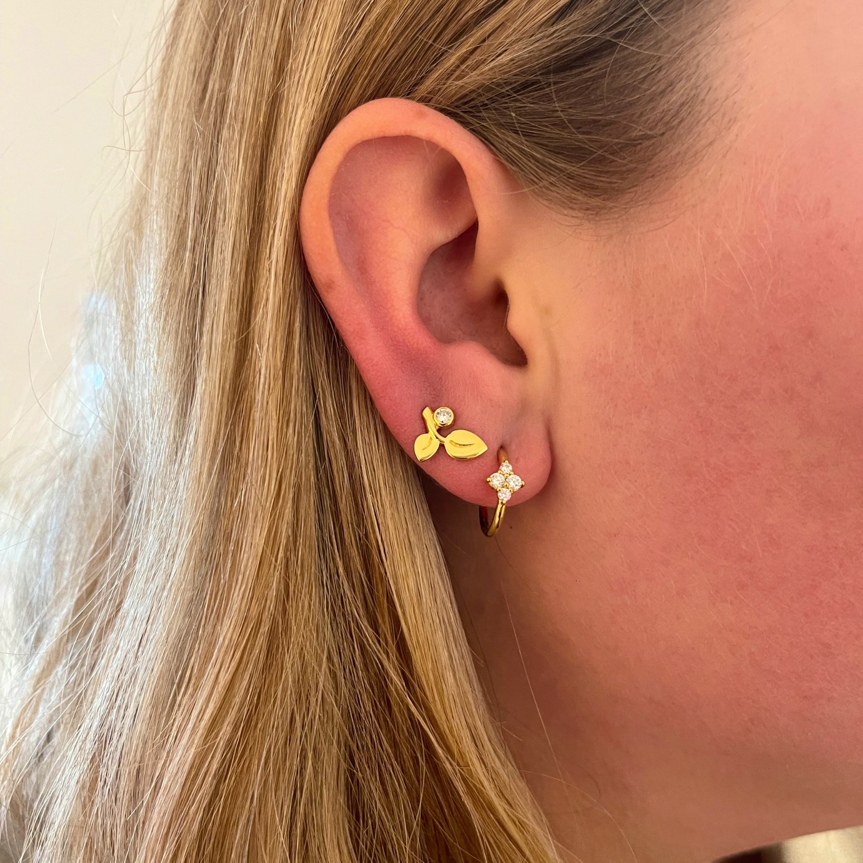 Angelina Hoops