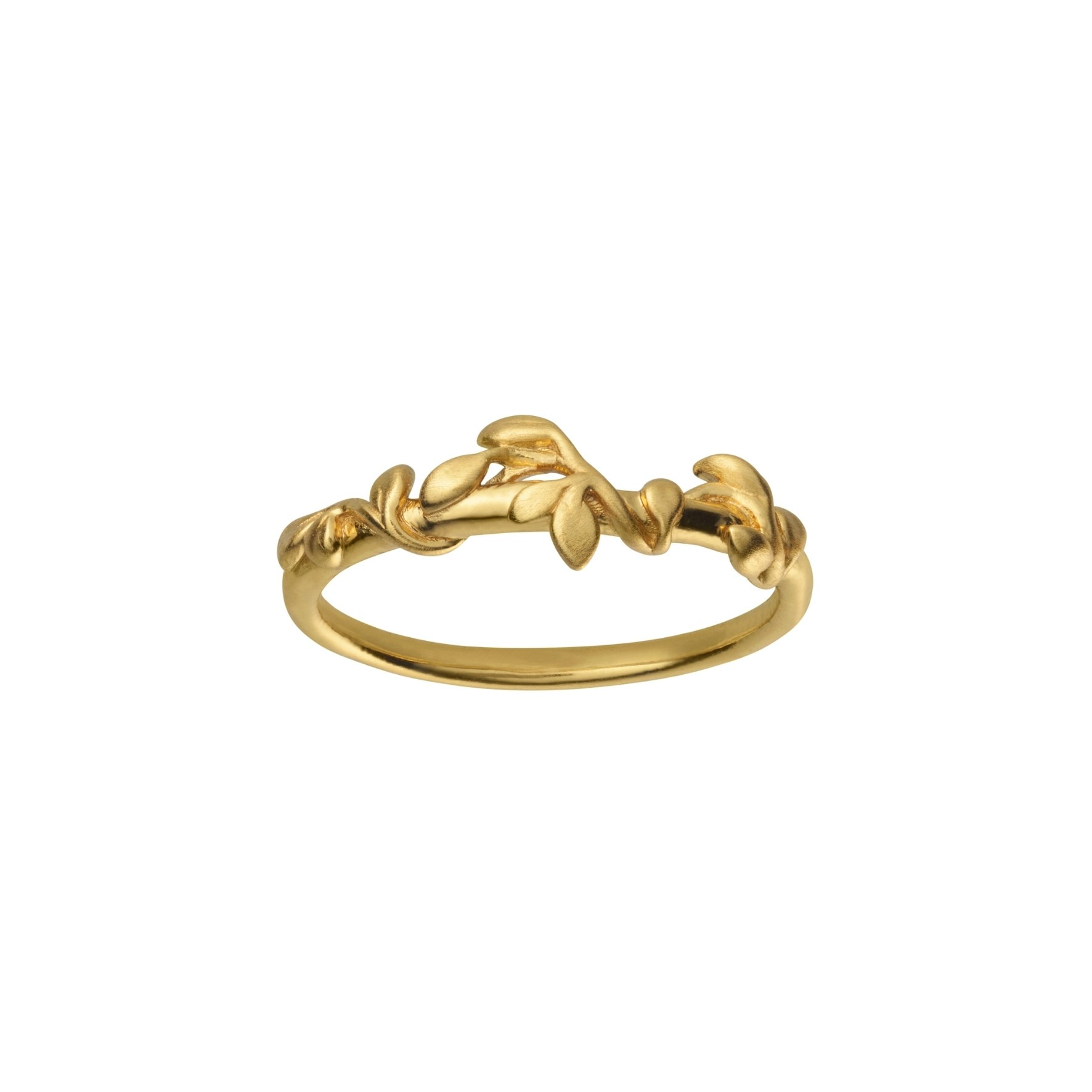 Jungle Ivy Ring from byBiehl in Goldplated Silver Sterling 925