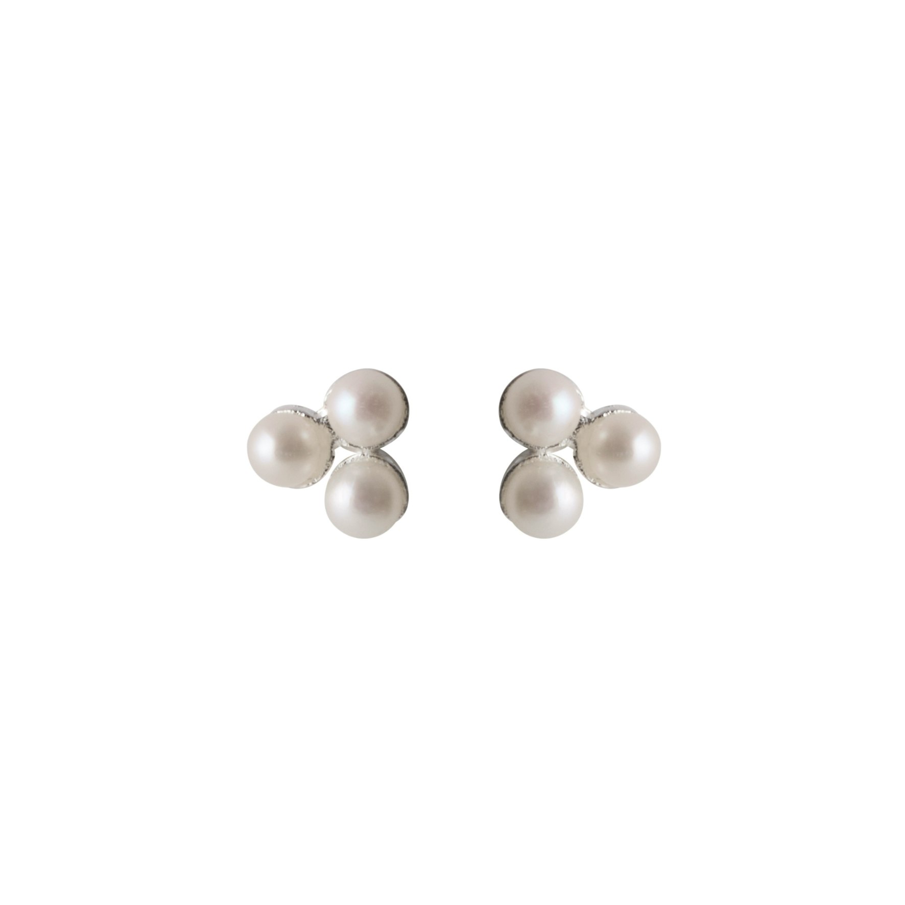 Bay Earsticks