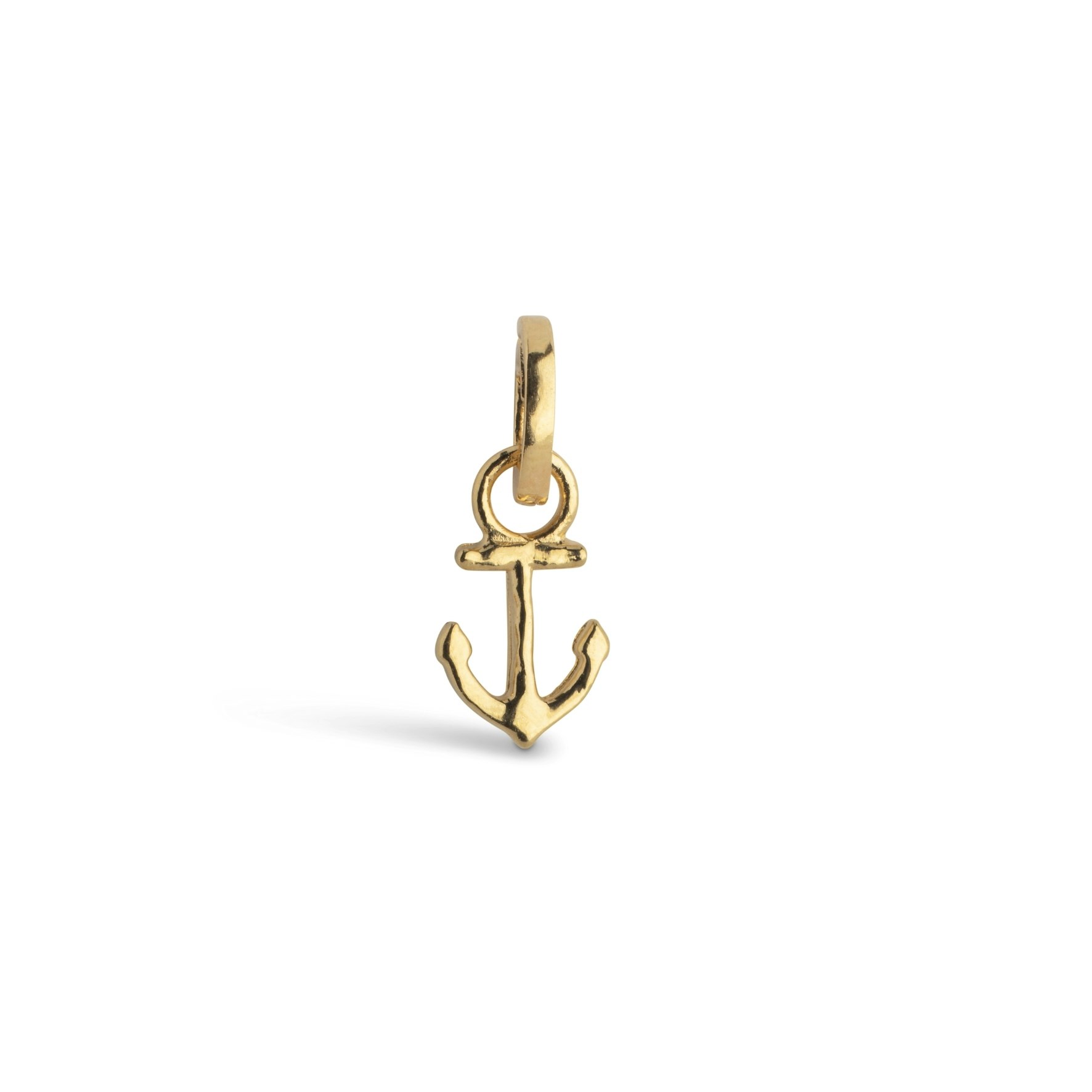 Steady Anchor Charm