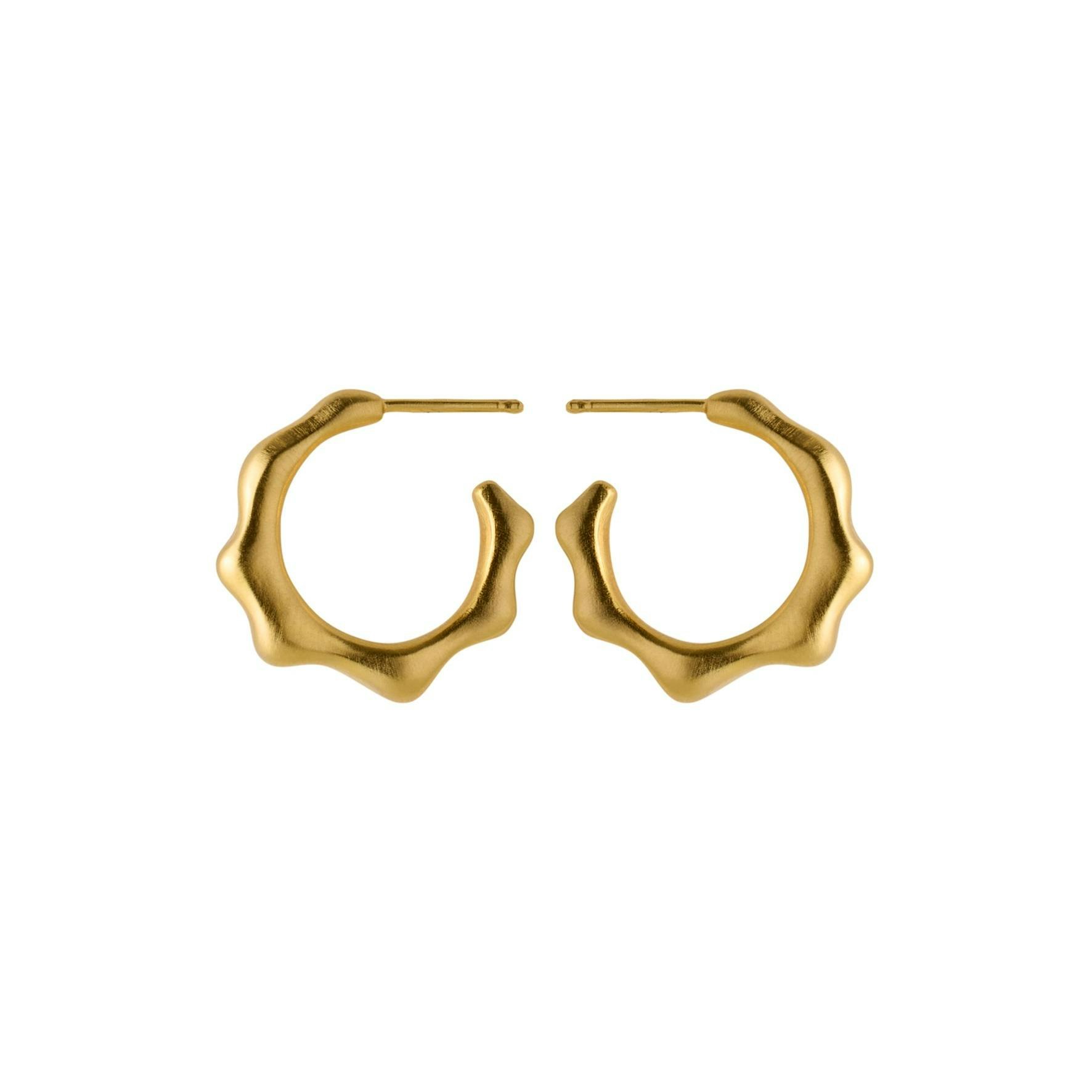 Aqua Hoops