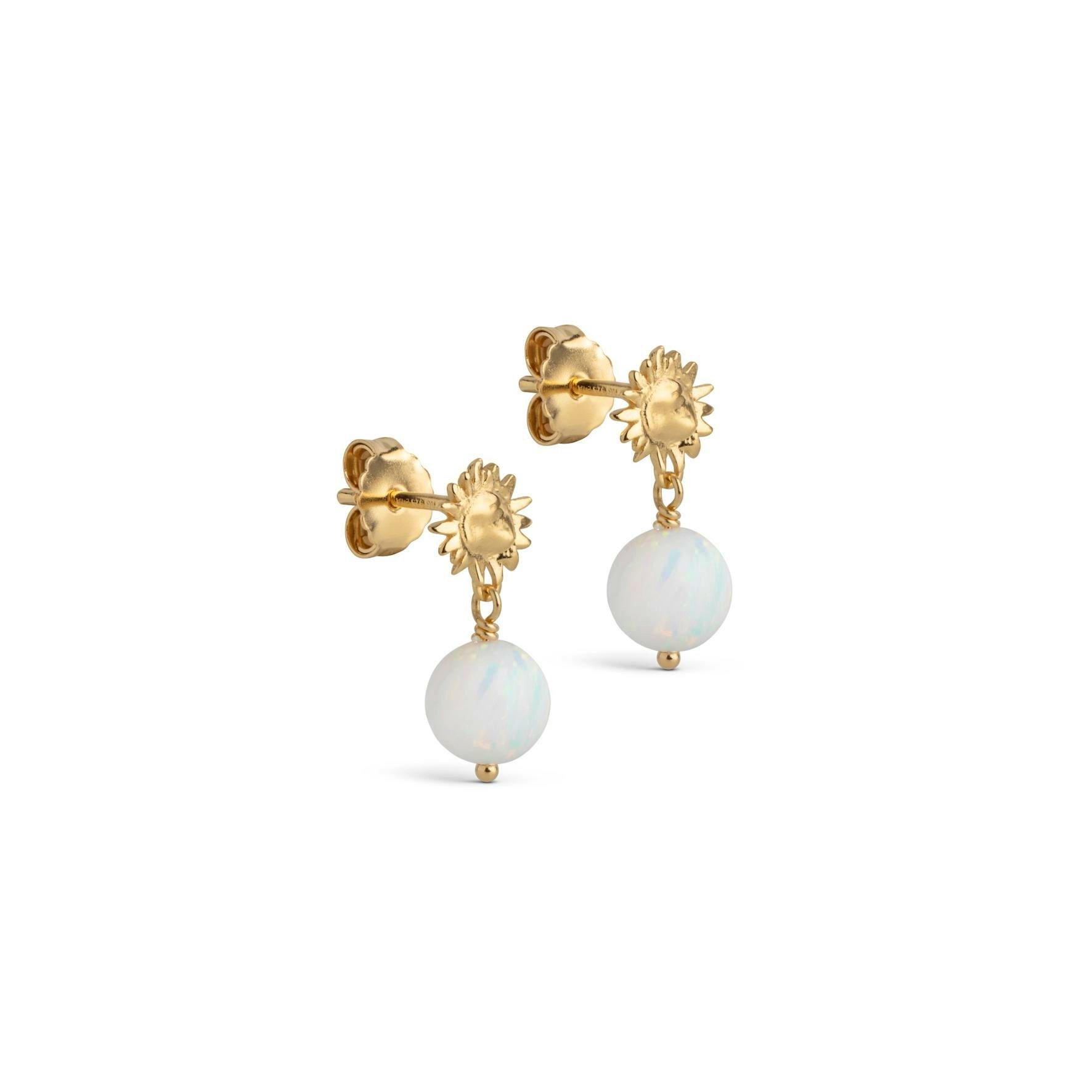 Daystar Globe Earrings