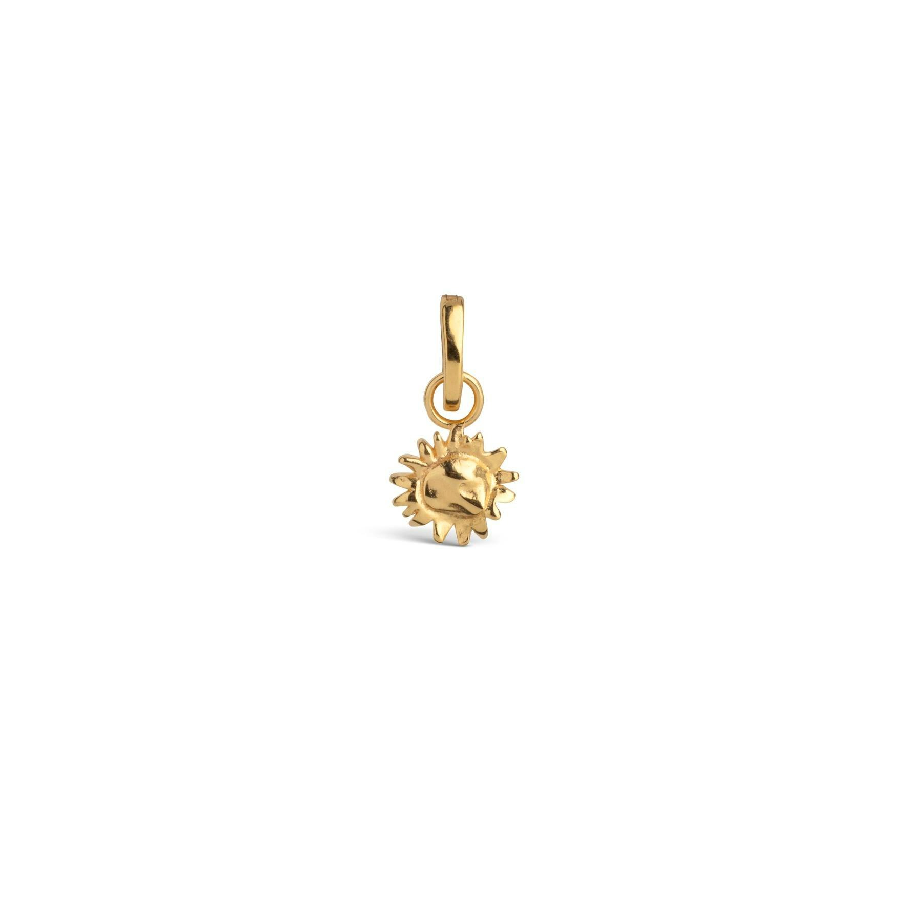 Sunny Sunshine Charm