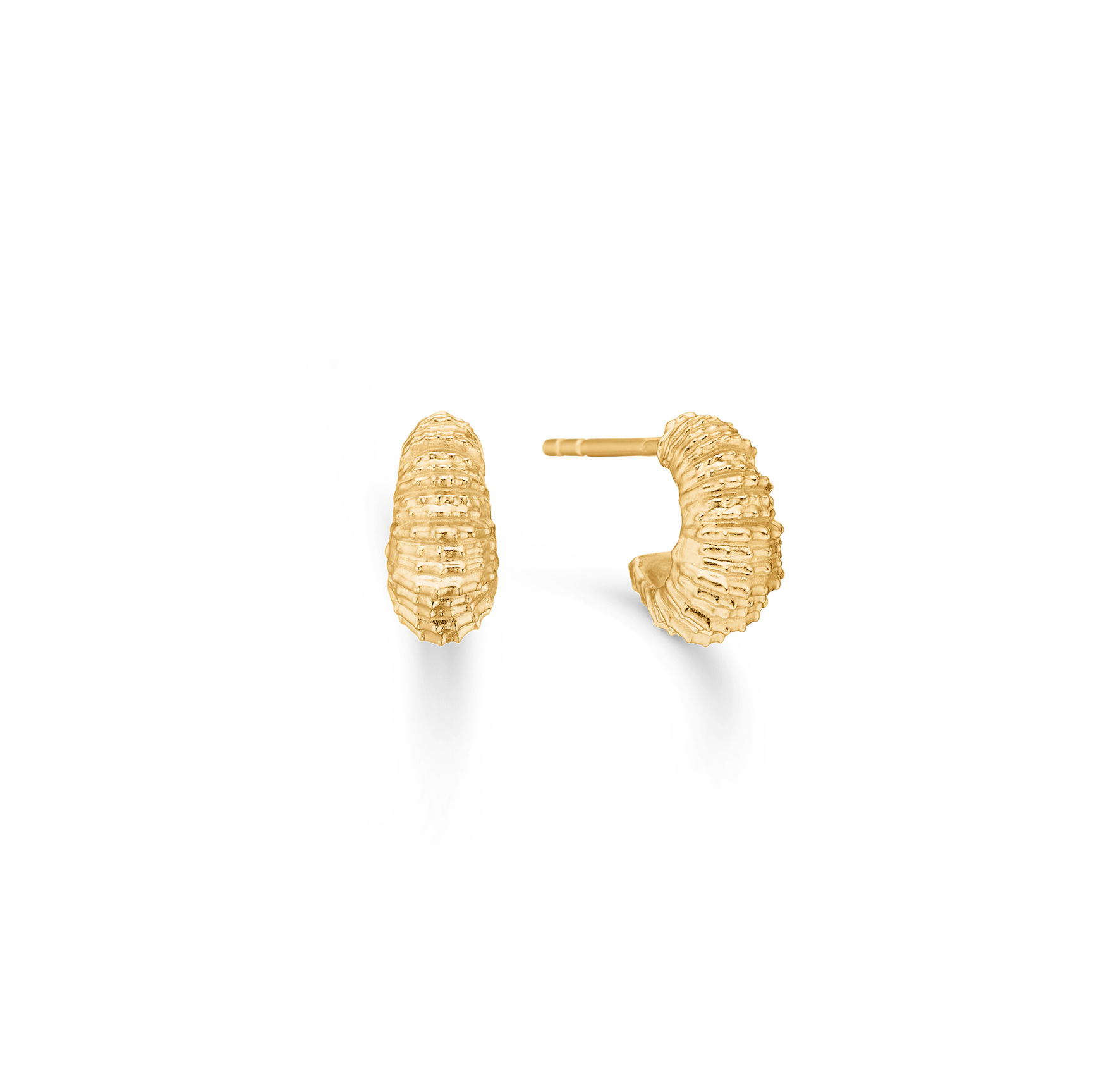 Seashell Secrets Small Hoops fra Studio Z i Forgylt-Sølv Sterling 925