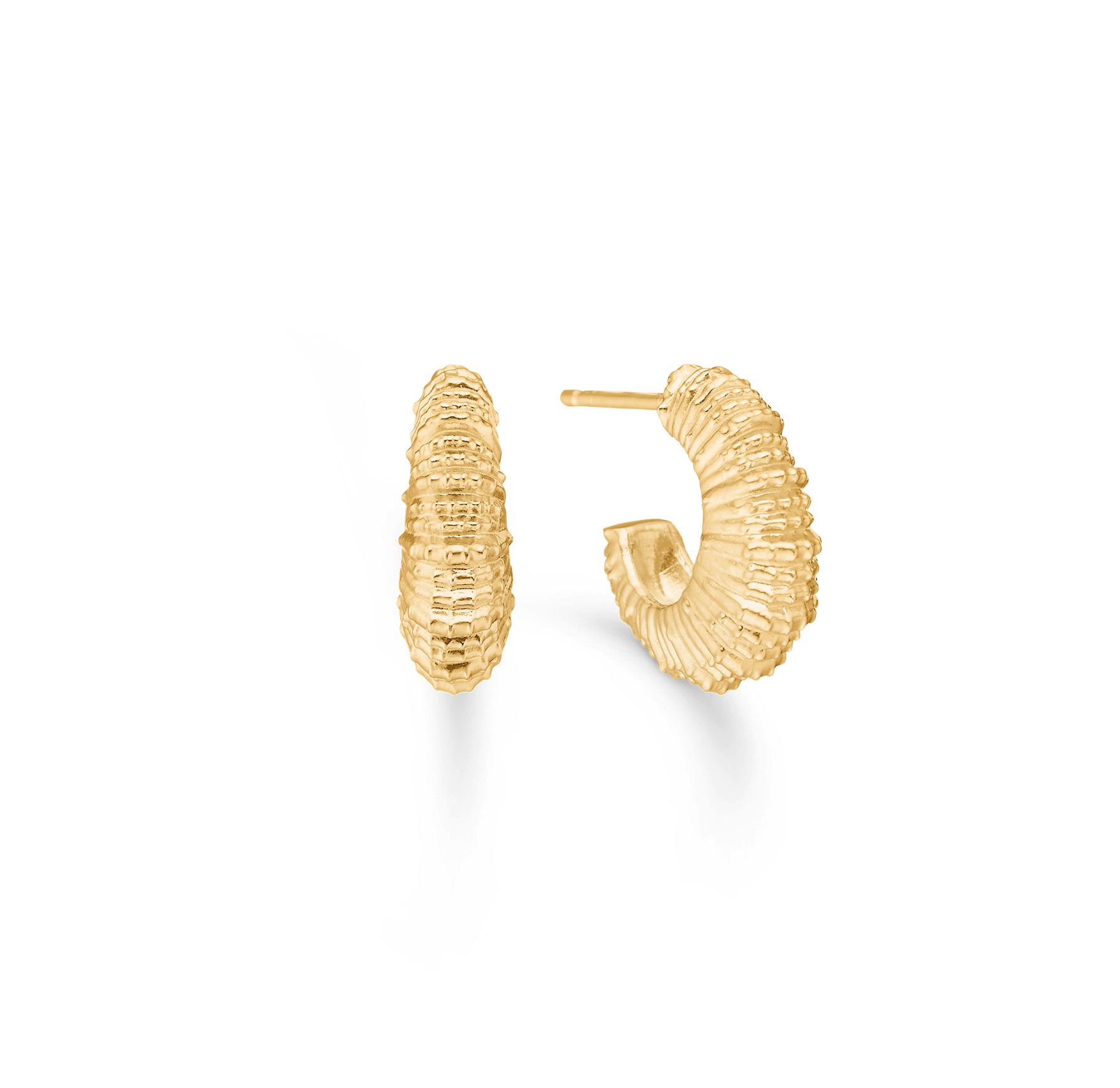 Seashell Secrets Medium Hoops fra Studio Z i Forgylt-Sølv Sterling 925
