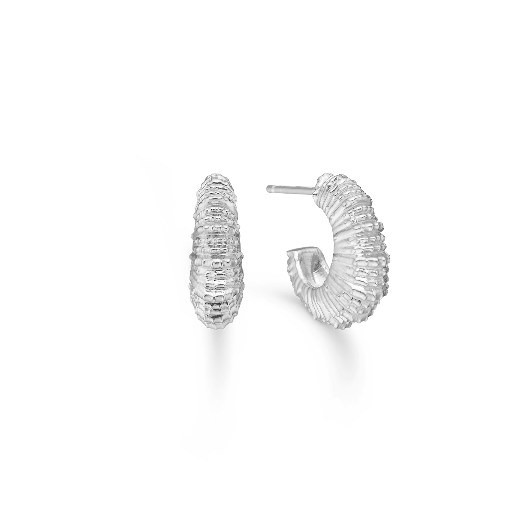 Seashell Secrets Medium Hoops från Studio Z i Silver Sterling 925