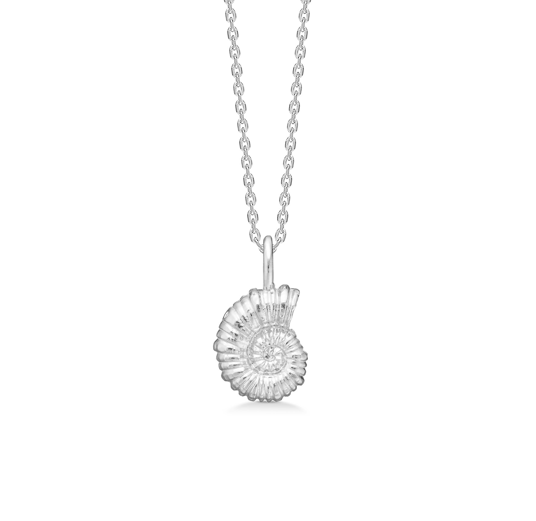 Seashell Secrets Necklace von Studio Z in Silber Sterling 925