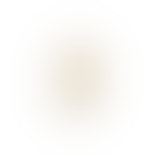Alba Medio Earrings 0.24 ct from Sif Jakobs Diamond in Gold
