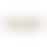 Janis Forest Bracelet van Nuni Copenhagen in Verguld-Zilver Sterling 925
