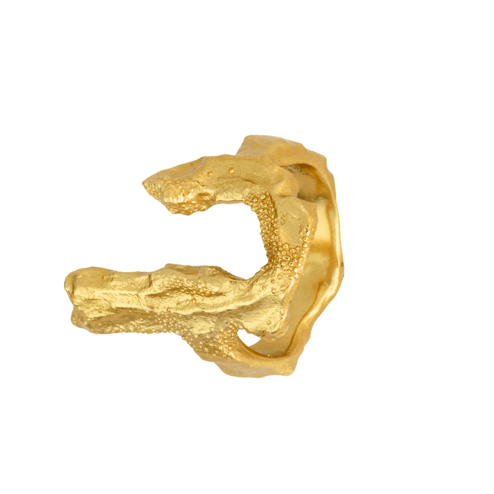 Bone Ring