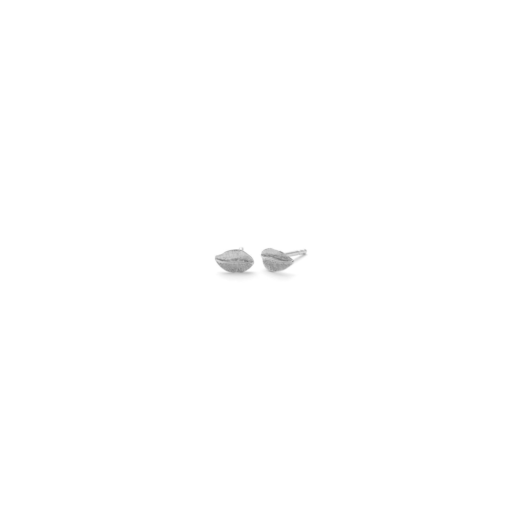Elm Leaf Earsticks van Pernille Corydon in Zilver Sterling 925
