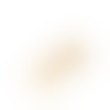 Rosalina Earsticks van Izabel Camille in Verguld-Zilver Sterling 925