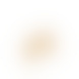 Christina Stone Hoops van Izabel Camille in Verguld-Zilver Sterling 925