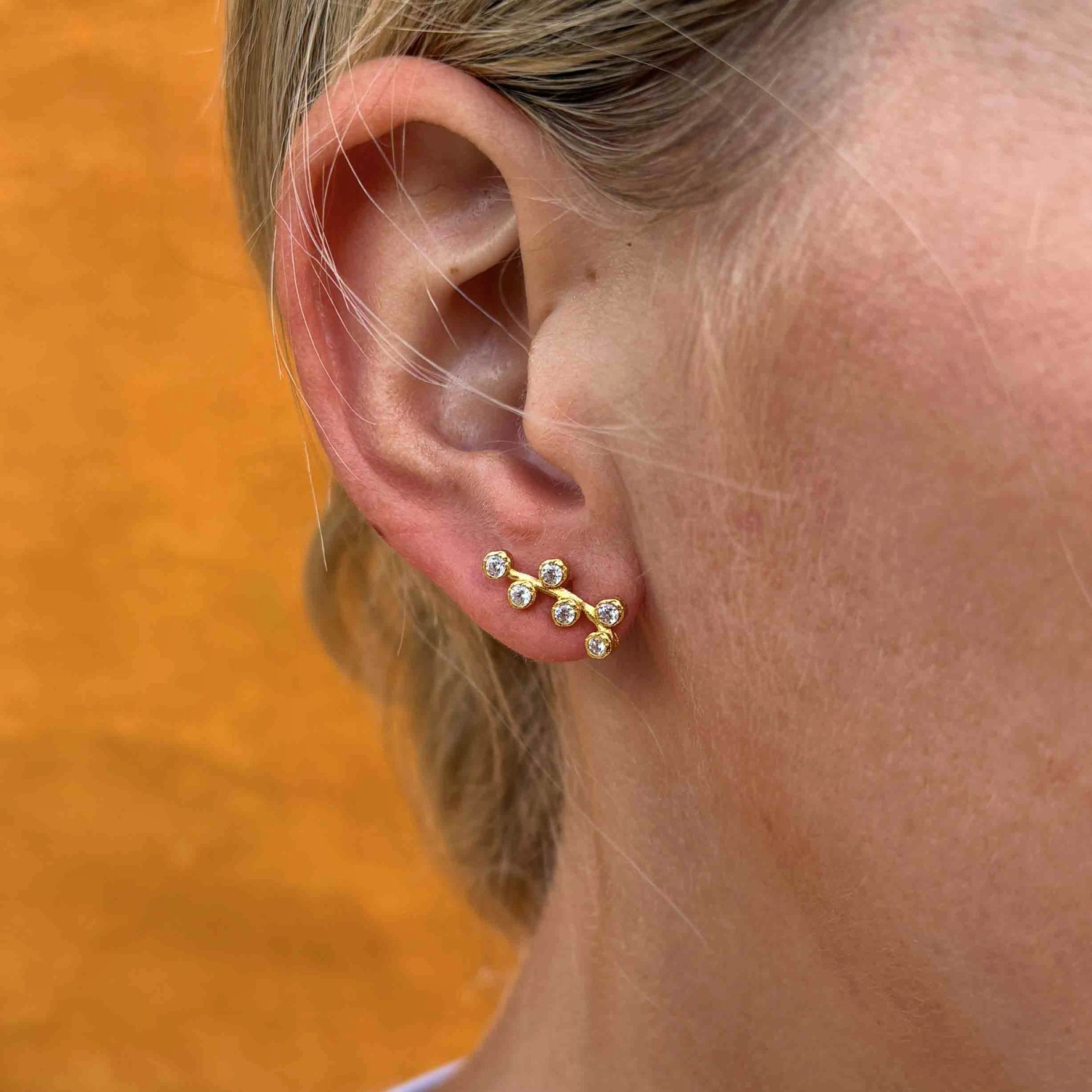 Amber Earrings