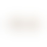 Moonstone Poppy Earsticks van Pernille Corydon in Verguld-Zilver Sterling 925