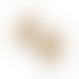 Nature Earsticks van Pernille Corydon in Verguld-Zilver Sterling 925