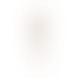 Rain Hook von Pernille Corydon in Vergoldet-Silber Sterling 925|Blank