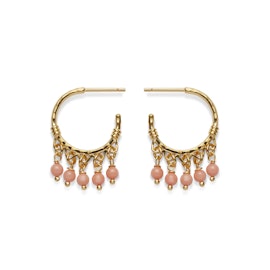 Ornate earrings