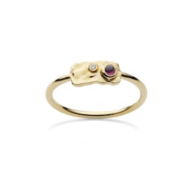 Drift ring