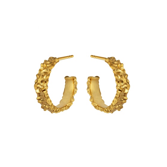 Aio Medium Earrings