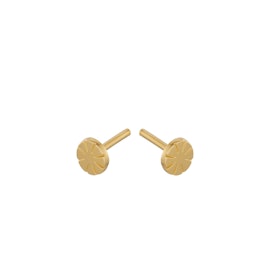Copenhagen earsticks