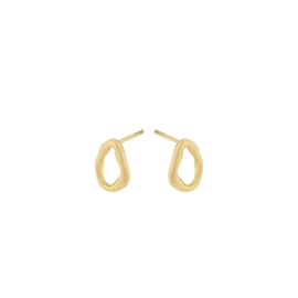 Gaia earsticks