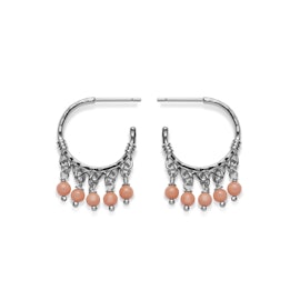 Ornate earrings