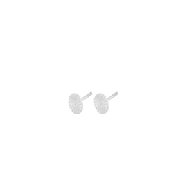 Small Sun Earsticks