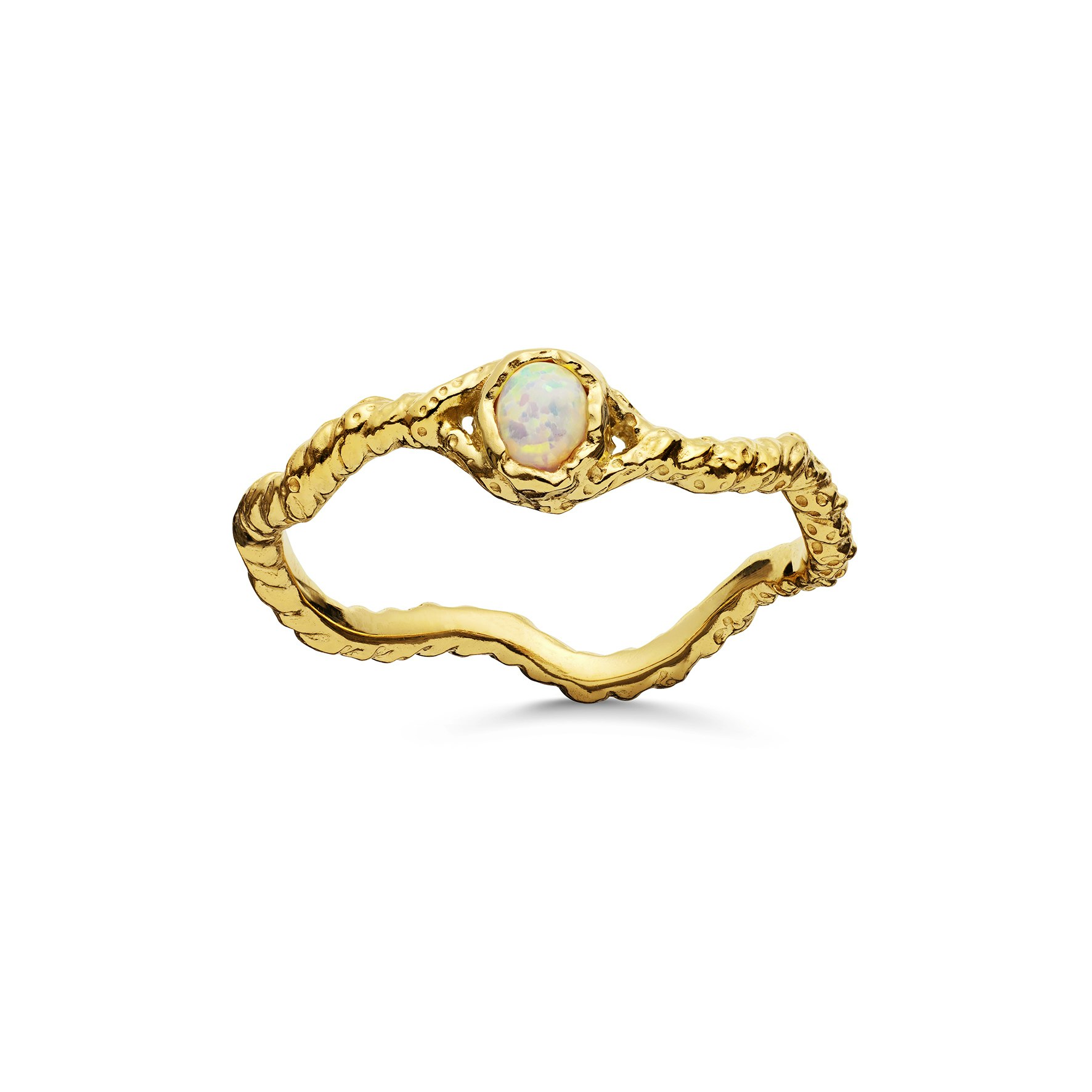 Lisa Ring