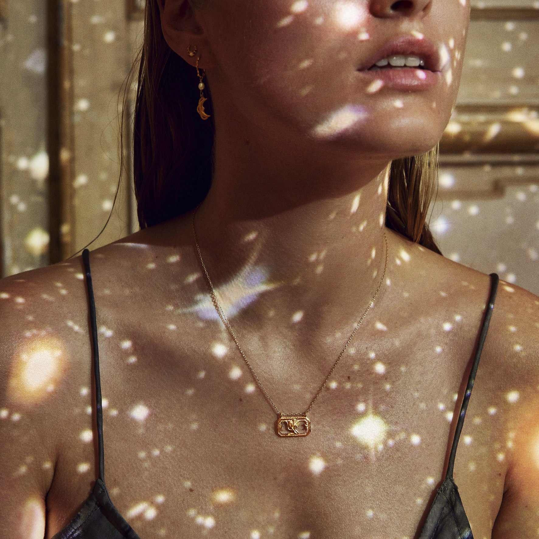 Zodiac Leo Necklace - Løve (July 23 - Aug 22) fra Maanesten i Sølv Sterling 925