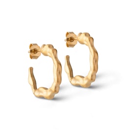 Leone Hoops
