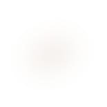 Noe Studs from Enamel Copenhagen in Goldplated-Silver Sterling 925