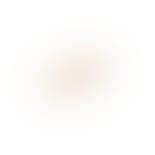 Clover Studs Clear von Enamel Copenhagen in Vergoldet-Silber Sterling 925