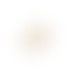 Liana Studs Clear von Enamel Copenhagen in Vergoldet-Silber Sterling 925